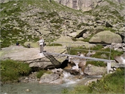 Walter 08.07.08-02.01.200952